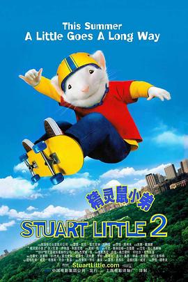 河北彩花2023种子品种有哪些