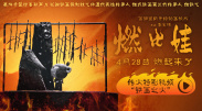 欧美一级精品